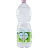 San Benedetto EcoGreen, 1 л, Вода минеральная, негазированная СанБенедетто Экогрин, ПЭТ