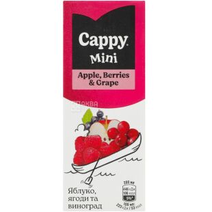 Cappy mini Apple-Berries-Grape, 0,2 л, Нектар Яблоко-Ягоды-Виноград Каппи мини, с трубочкой