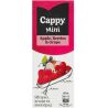 Cappy mini Apple-Berries-Grape, 0,2 л, Нектар Яблуко-Ягоди-Виноград Каппі міні, з трубочкою