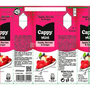 Cappy mini Apple-Berries-Grape, 0,2 л, Нектар Яблуко-Ягоди-Виноград Каппі міні, з трубочкою