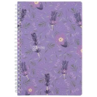 Axent Lavender, 80 листов, Акцент, Блокнот на спирали в пластиковой обложке, А5, в клеточку, фиолетовый