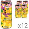 Ever Aid Bubble Tea Melon Pineapple, Упаковка 12 шт. х 0,33 л, Чайний напій з кульками, що лопаються Бабл Ті Диня-Ананас