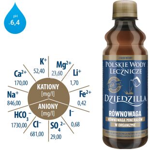 PWL Dziedzilla Rćwnowaga, 0.33 l, Therapeutic mineral water, Optimal balance of minerals, Dziedzilla, PET