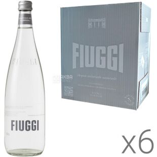 Fiuggi, Oligominerale, Упаковка 6 шт. х 0,75 л, Фьюджи, Лечебная минеральная вода, негазированная, стекло