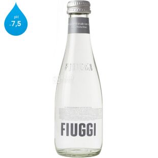 Fiuggi, 0,25 л, Вода олигоминеральная негазированная Фьюджи, стекло