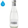 Fiuggi, 0,25 л, Вода мінеральна негазована Ф'юджі, скло