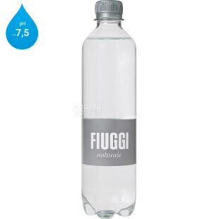 Fiuggi, Naturale, 0,5 л, Вода минеральная, негазированная, Фьюджи, ПЭТ