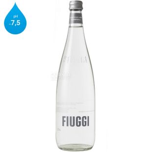 Fiuggi, 0,75 л, Ф'юджи, Лікувальна мінеральна вода, негазована, скло