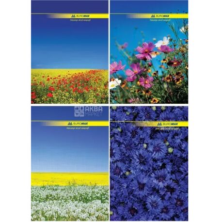 Buromax, 96 листов, А4, Канцелярская книга, Клетка