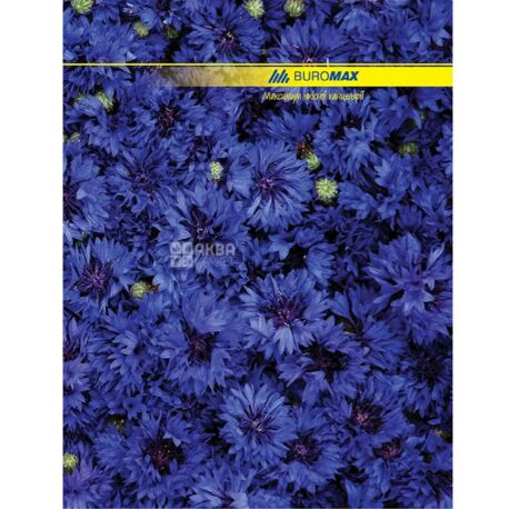 Buromax, 96 листов, А4, Канцелярская книга, Клетка