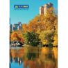 Buromax Jobmax, Міста та сезони, 96 аркушів, Книга канцелярська, А4, клітина, офсет, тверда ламінована обкладинка, асорті