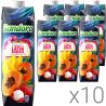 Sandora Carnival of Latin America, Упаковка 10 шт. х 0,95 л, Нектар Банан-Папайя-Личи неосветлённый Сандора