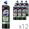 Domestos Green, Упаковка 12 шт. х 750 мл, Средство для чистки унитаза, Против ржавчины и налета, Лайм Доместос