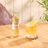 Franklin & Sons Ginger Ale, 200 мл, Франклін енд Санз, Імбирний Ель