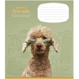 Школярик, 1 шт., Зошит на скобі у клітинку, 12 аркушів, в асортименті