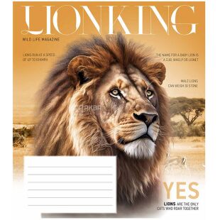 Школярик, 12 листов, Тетрадь в косую линию, в ассортименте