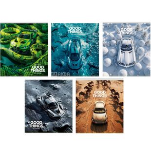 Школярик, 48 аркушів, Зошит в клітинку, в асортименті