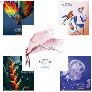 Школярик, 48 аркушів, Зошит в лінію, в асортименті