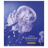 Школярик, 48 листов, Тетрадь в линию, в ассортименте