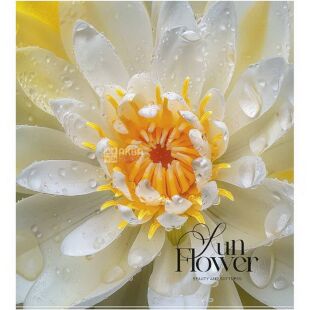 Школярик, 60 аркушів, Зошит в лінію, в асортименті