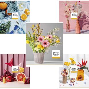 Школярик, 96 л, Тетрадь в линию, в ассортименте