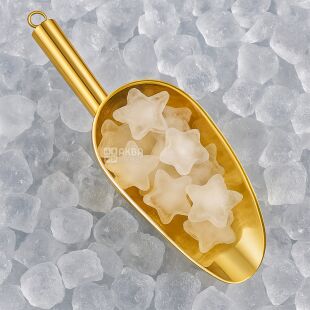 Совок для льоду та сипучих продуктів з нержавіючої сталі, золотистий, 210 х 65 мм