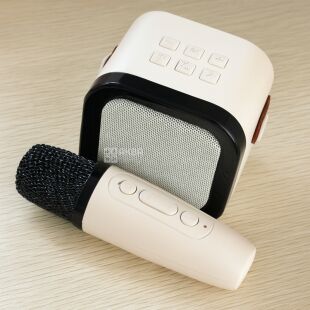 Беспроводная портативная колонка караоке с микрофоном и подсветкой