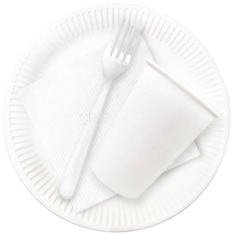Lux, No. 190, disposable tableware set, For 6 persons, m / s