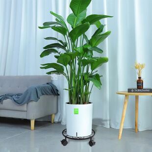 Підставка під бутлі та вазони, на колесах, чорна, металева, D30 см