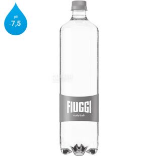Fiuggi Naturale, 1 л, Вода минеральная негазированная Фьюджи, ПЭТ
