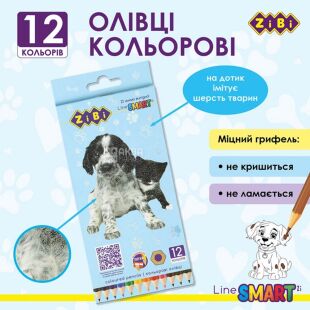 ZiBi Smart line, 12 цветов, Набор карандашей цветных Зиби