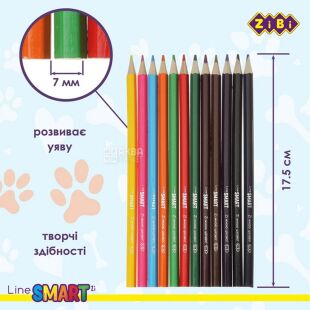 ZiBi Smart line, 12 цветов, Набор карандашей цветных Зиби