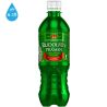 Rudolfuv Pramen, 0,5 л, Вода минеральная лечебная Рудольфув Прамен, газированная, ПЭТ