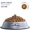 Club 4 Paws Adult All Breeds Active, 14 кг, Сухой корм для взрослых активных собак Клуб 4 лапы
