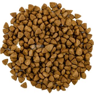 Savory Adult Cat Steril, 2 кг, Сухой корм для кастрированных котов Ягненок и курица, Сейвори