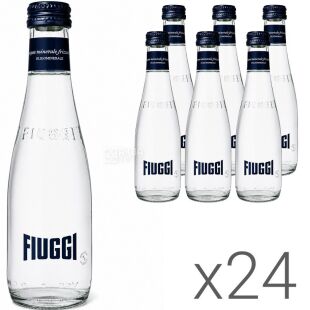 Fiuggi Sparkling, Упаковка 24 шт. х 0.25 л, Вода минеральная олигоминеральная лечебная, слабогазированная, Фьюджи, стекло
