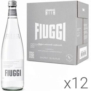 Fiuggi, Oligominerale, Упаковка 12 шт. х 0,75 л, Ф'юджі, Лікувальна мінеральна вода, негазована, скло