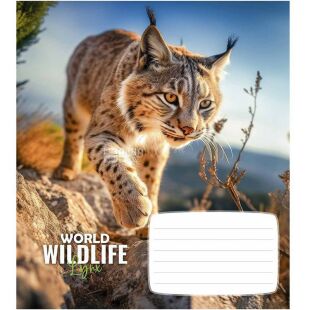 Школярик Wildlife, 1 шт., Зошит в клітинку, 12 аркушів, в асортименті