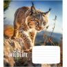 Школярик Wildlife, 1 шт., Зошит в клітинку, 12 аркушів, в асортименті