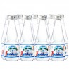 Truskavets, packing 12 pcs. on 0,33 l, still water, Naftusya, glass, glass