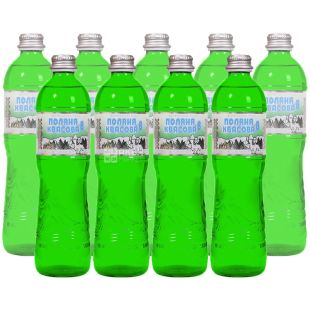 Поляна Квасова, 0,5 л, Упаковка 9 шт., Вода мінеральна сильногазована, скло