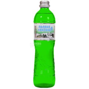 Поляна Квасова, 0,5 л, Упаковка 9 шт., Вода мінеральна сильногазована, скло