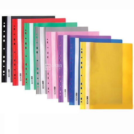 Economix, A4, folder, Perforated, Assorted