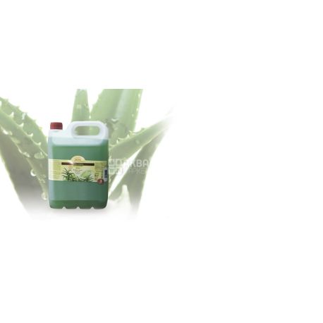Soap Green Pharmacy 5 L Aloe