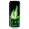 Burn Apple Kiwi, упаковка 6 шт. по 0,25 л, Напиток энергетический Берн Яблоко-Киви