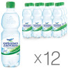 Karpatska Dzherelna, Packing 12 pcs. 0.5 l each, Mineral water, Low carbonated, PET, PAT