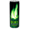 Burn Apple Kiwi, 0,5 л, Напиток энергетический Бёрн Яблоко-Киви