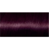 L'Oreal Preference, Стойкая - краска, №5.26, Ізисканний бордо, Фіолетовий каштан