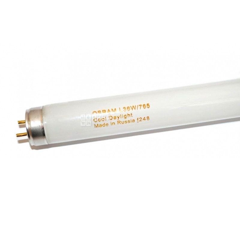 Купить Osram L36W/10-765, Лампа люминесцентная Онлайн (24/7)
