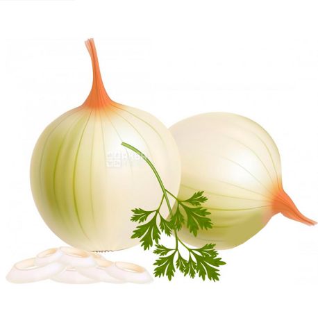 Onion peeled whole, 500 g, vacuum packaging